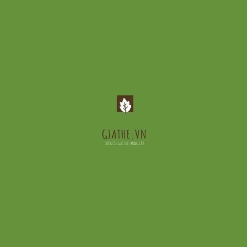 Giá thể trồng cây