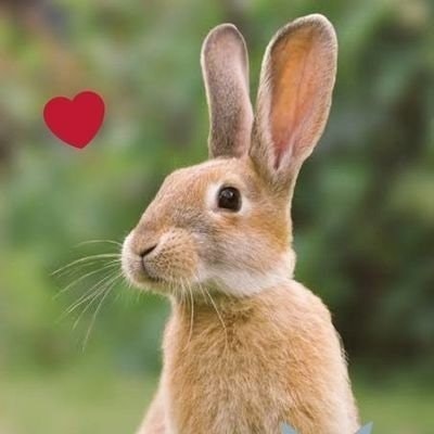 ᴮᴱSeven⁷ ♡ 🍀