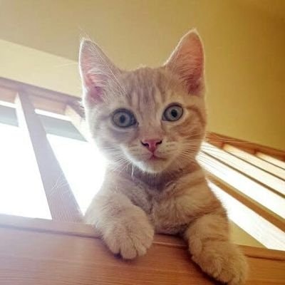 ❤🍀ᛋᛁᛘᛒᛚᚢᚱᛁᛅᚴᚬ🍀❤