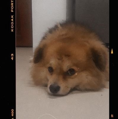 Raineee |👾🍀 mananalo 100$ 🥚👻