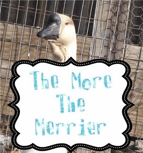 The More The Merrier