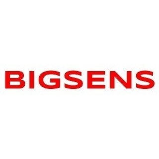 Bigsens