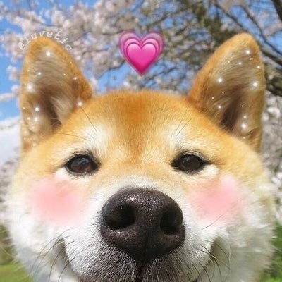 ryan ∠( ᐛ 」∠)＿