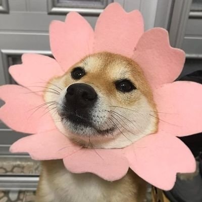 유 ૮ – ﻌ–ა