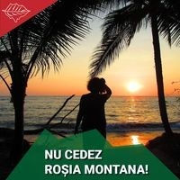 Adina Stefania Preda