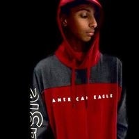 Ayman Ahmed Mohammed