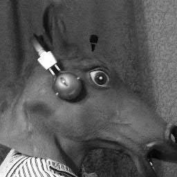 Mihail Benediktovich