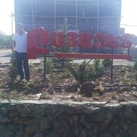 Тигран Момджян