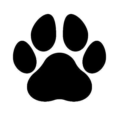 Homecoming Pet Travel