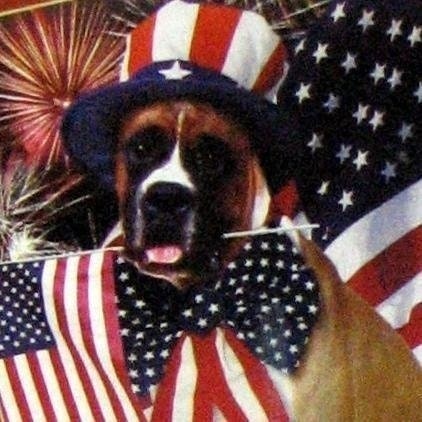 Patrick Brinich-Lan…