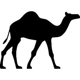 CamelApp
