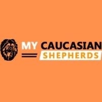 ProductHunt profile picture for @caucasian