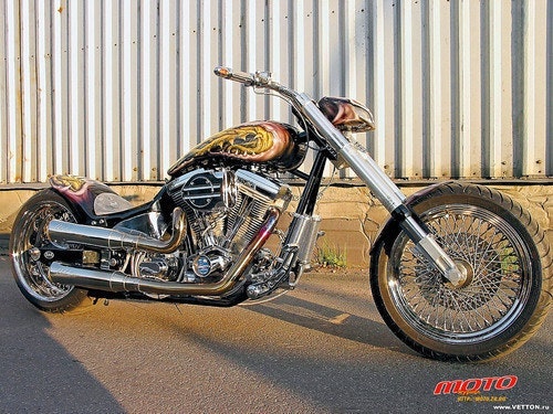 Алиев Никита