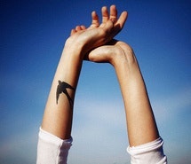 Варвара Волкова