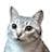 Cat Hong (catcatcatcat)