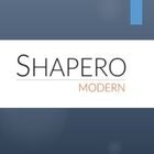 Shapero Modern Post War Art Prints