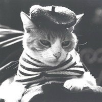 Janice Goldstraw-whi