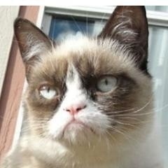 Ana Elisa R. Chimeca