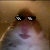 ProductHunt profile picture for @hamster
