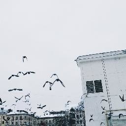 Полина Антонова