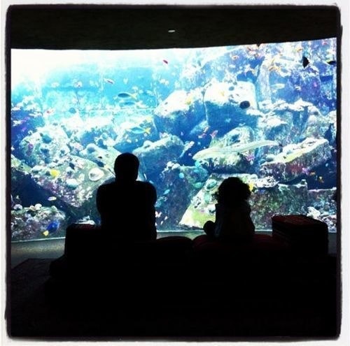 عَ ـزُوفْ ،،