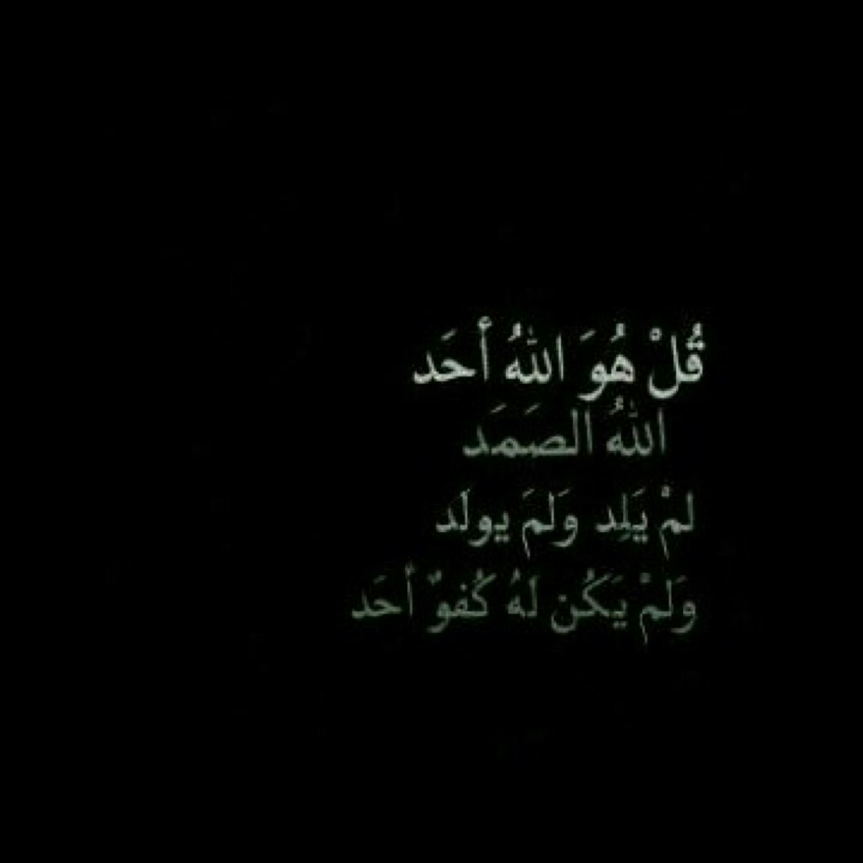 البروفيسورة أمل