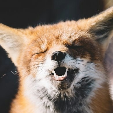 Jimmy Angel Pérez Díaz