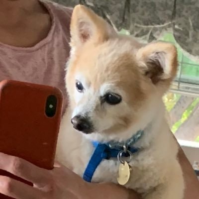 ÇºL𝄡¥ ßæ†ø