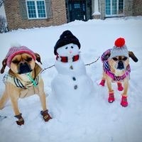 Dawn Berglund Winters