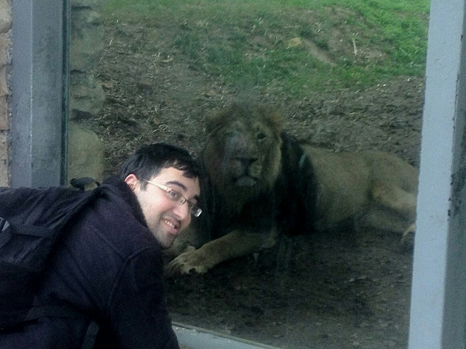 נתנאל לייפר