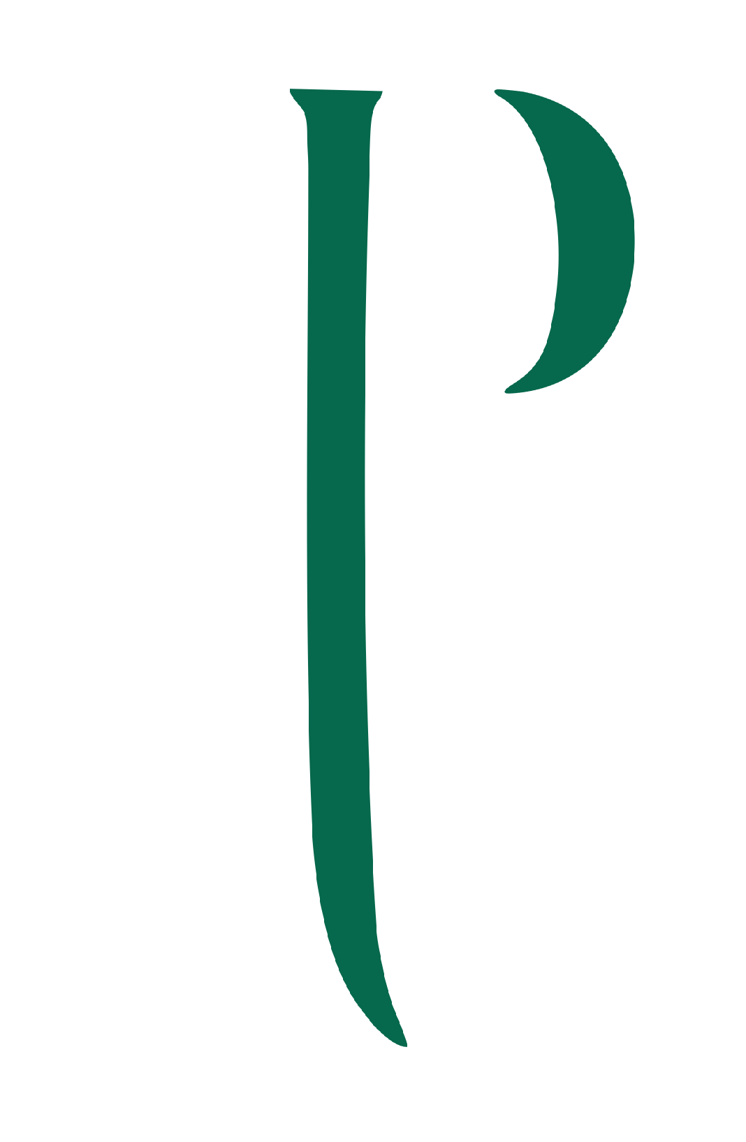 Pheeta Jaipur
