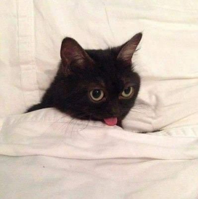 Filomena C Francisco