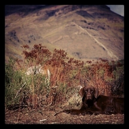 Francois G. de Mussy