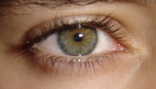 Rafael Rivas Galicia