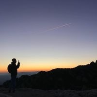 Jorge Andres Cardozo