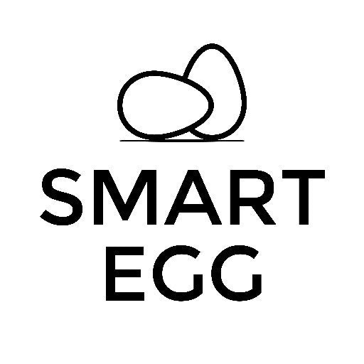 Smart Egg