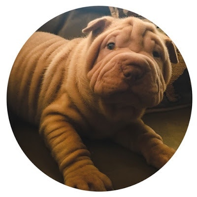 ProductHunt profile picture for @parks