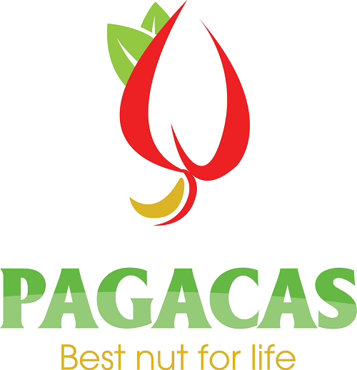 Hạt điều Pagacas
