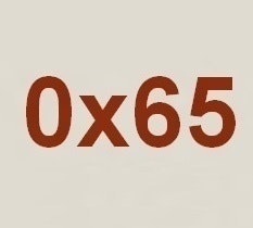 0x65