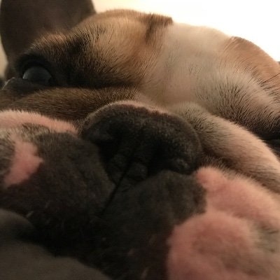 Catalina Alejandra Salinas Zamora