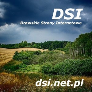 dsi.net.pl