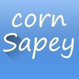 Sapey Game