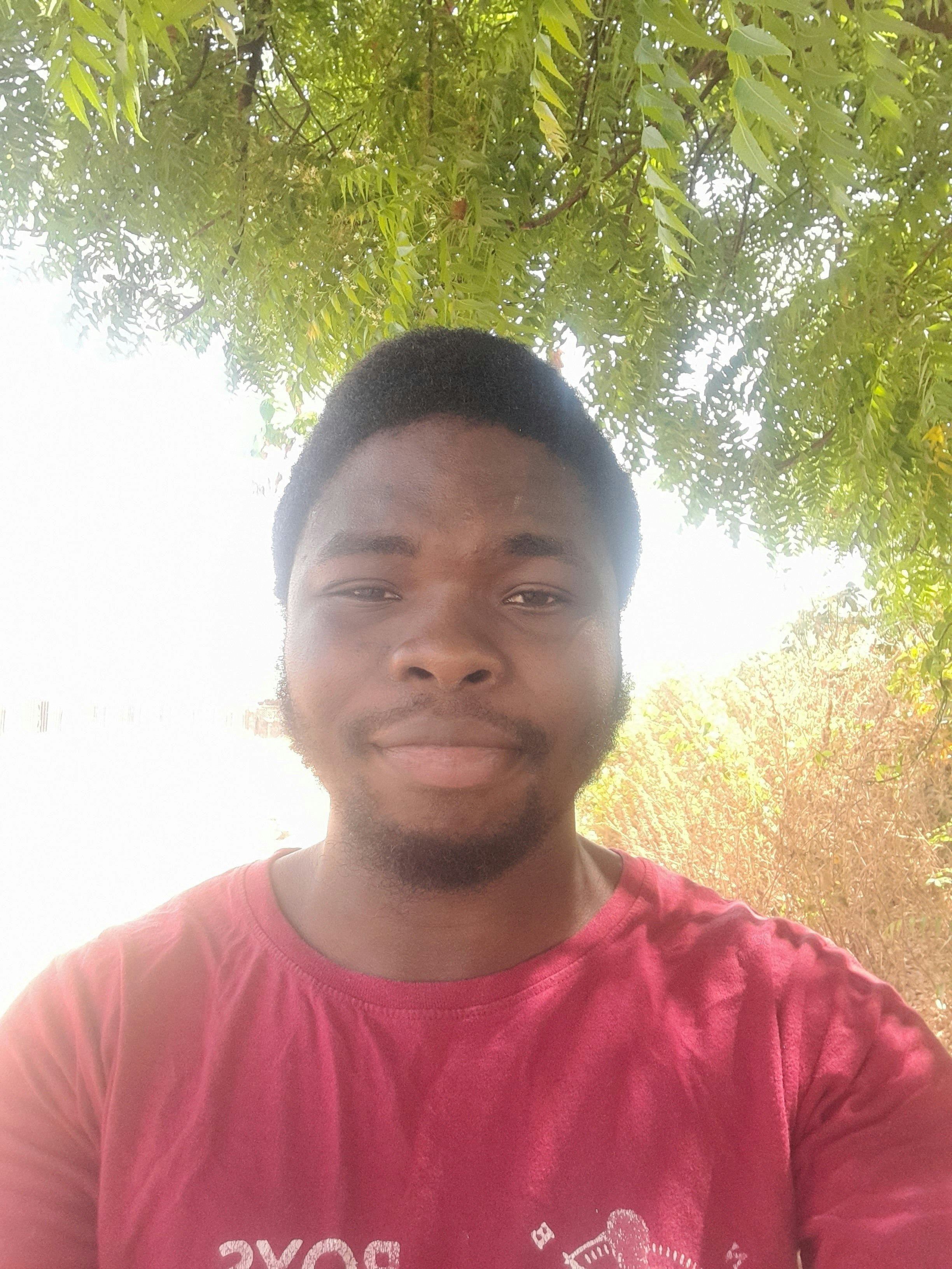 Theophilus Fẹ́mi Aláwọ̀ndé