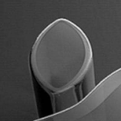 ذاکر Hüseyin 2472