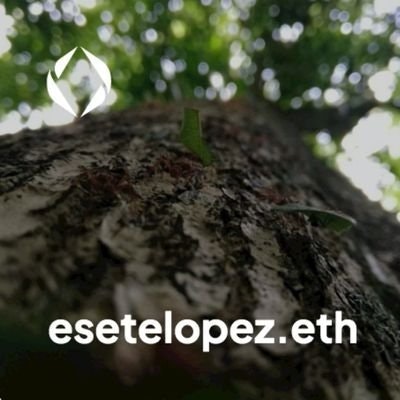 EseTeLopez