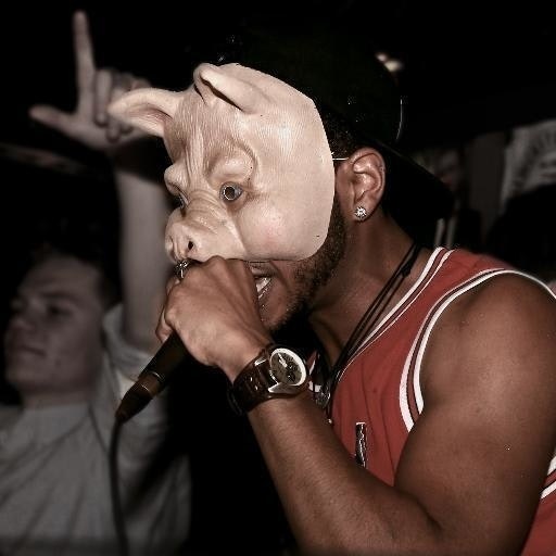 HAM the Illustrator™