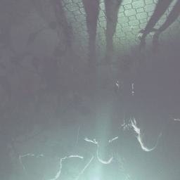 the bestfriends club