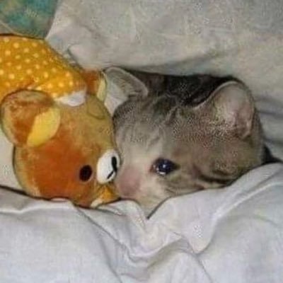 🎩willy wonka kinnie🎩