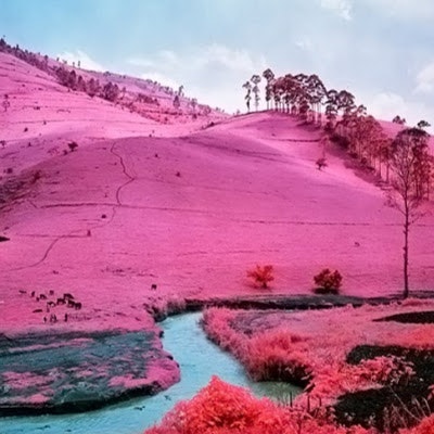 Małgorzata Perkowska