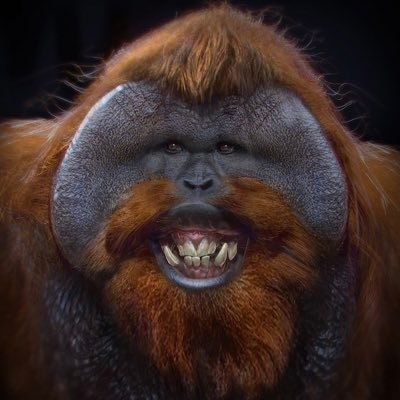 Владислав Рябикин